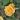 hanna_brad